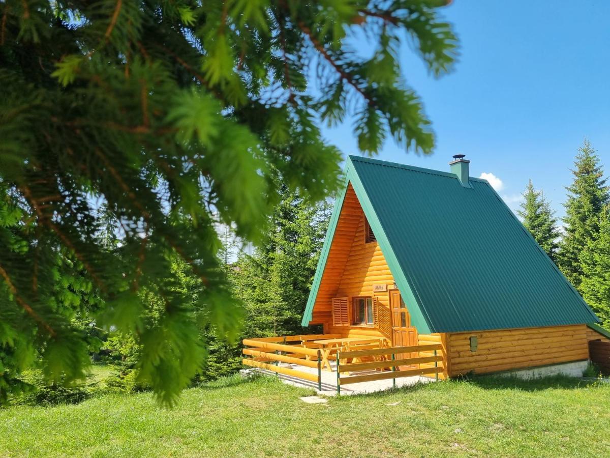 Hedonist Village Žabljak Εξωτερικό φωτογραφία