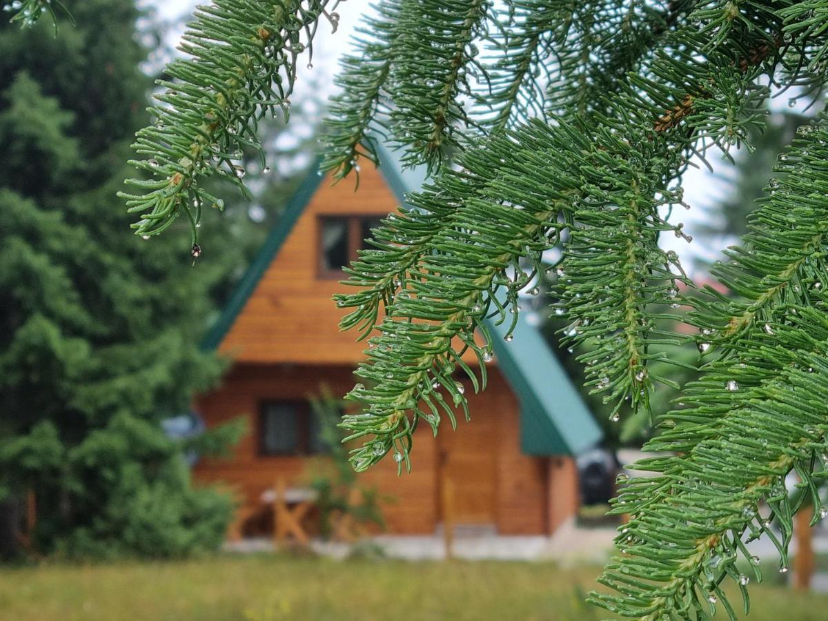 Hedonist Village Žabljak Εξωτερικό φωτογραφία